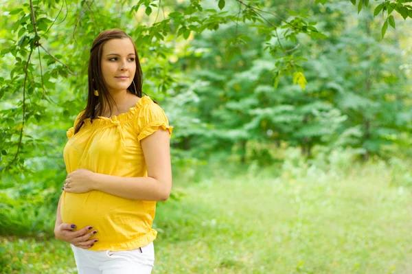 Exploring Educational Programs at Pregnancy Care Centers